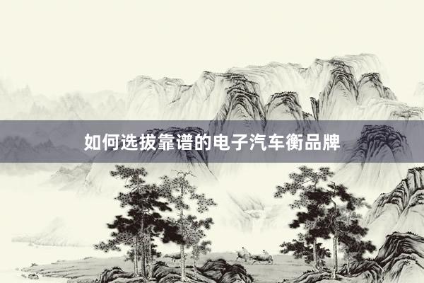 如何选拔靠谱的电子汽车衡品牌