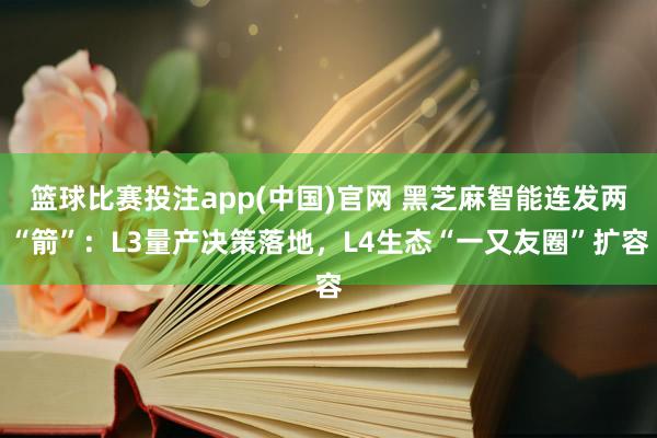 篮球比赛投注app(中国)官网 黑芝麻智能连发两“箭”：L3量产决策落地，L4生态“一又友圈”扩容