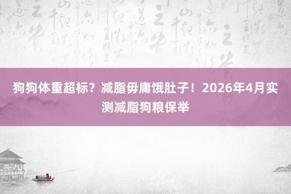 狗狗体重超标？减脂毋庸饿肚子！2026年4月实测减脂狗粮保举