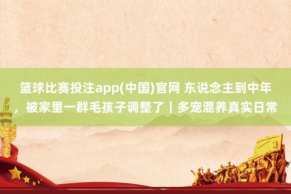 篮球比赛投注app(中国)官网 东说念主到中年，被家里一群毛孩子调整了｜多宠混养真实日常
