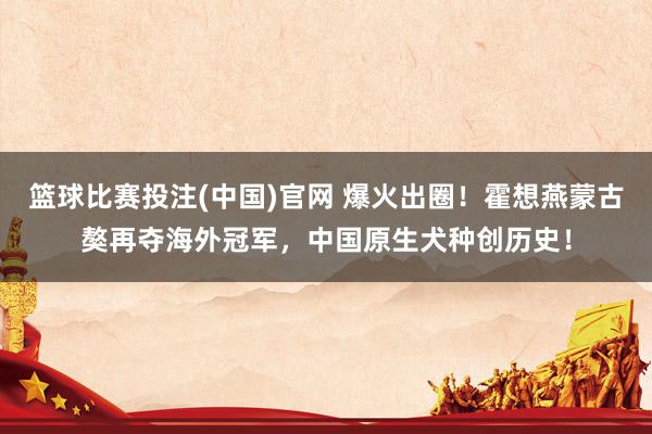 篮球比赛投注(中国)官网 爆火出圈！霍想燕蒙古獒再夺海外冠军，中国原生犬种创历史！