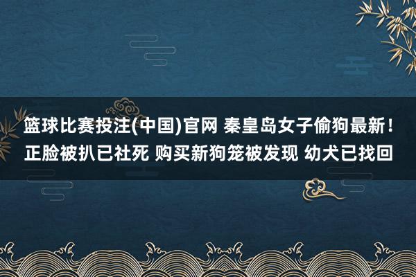 篮球比赛投注(中国)官网 秦皇岛女子偷狗最新！正脸被扒已社死 购买新狗笼被发现 幼犬已找回