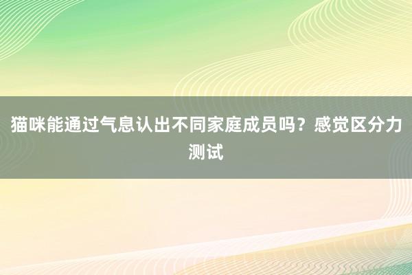 猫咪能通过气息认出不同家庭成员吗？感觉区分力测试