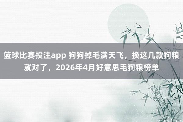 篮球比赛投注app 狗狗掉毛满天飞，换这几款狗粮就对了，2026年4月好意思毛狗粮榜单