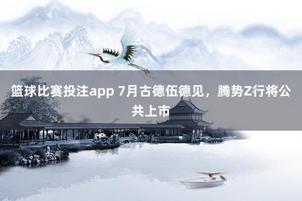 篮球比赛投注app 7月古德伍德见，腾势Z行将公共上市
