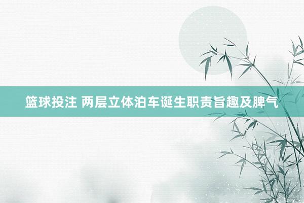 篮球投注 两层立体泊车诞生职责旨趣及脾气