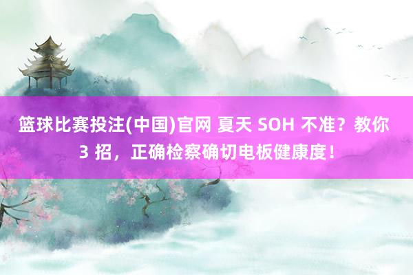篮球比赛投注(中国)官网 夏天 SOH 不准？教你 3 招，正确检察确切电板健康度！