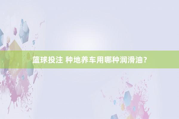 篮球投注 种地养车用哪种润滑油？