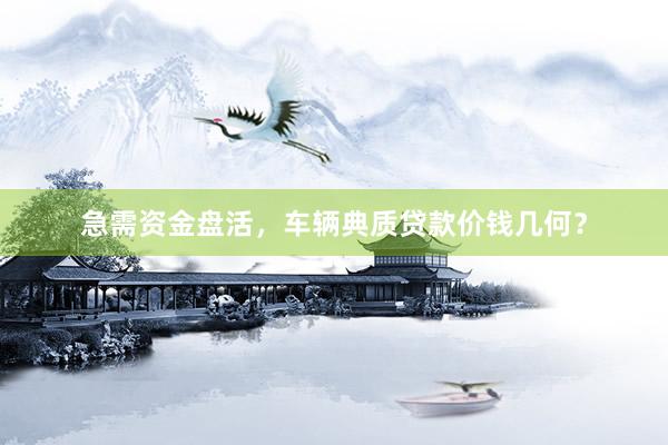 急需资金盘活，车辆典质贷款价钱几何？