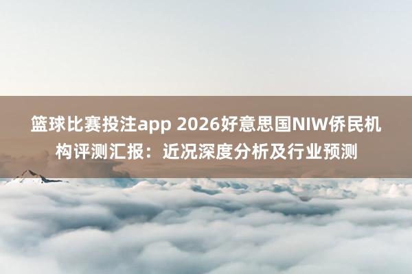 篮球比赛投注app 2026好意思国NIW侨民机构评测汇报：近况深度分析及行业预测