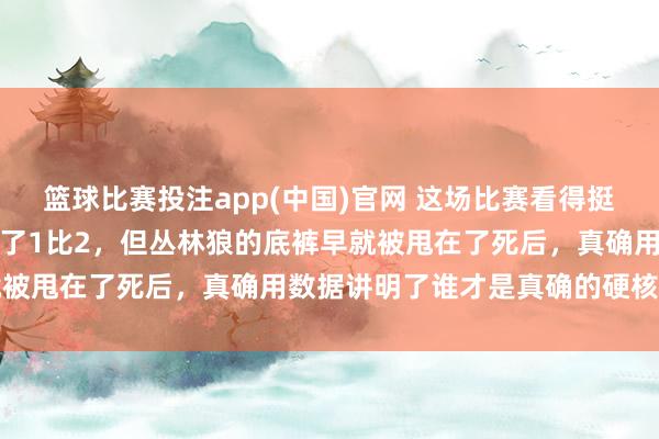 篮球比赛投注app(中国)官网 这场比赛看得挺扎心的，尼克斯如故落伍了1比2，但丛林狼的底裤早就被甩在了死后，真确用数据讲明了谁才是真确的硬核球员