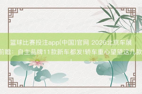 篮球比赛投注app(中国)官网 2026北京车展前瞻：自主品牌11款新车都发!轿车重心望望这几款!